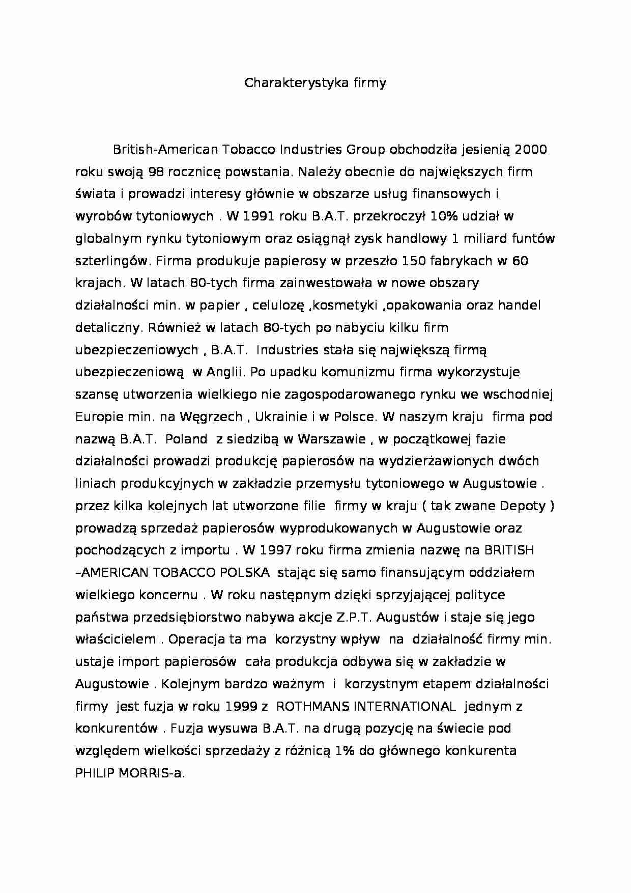 Analiza strategiczna firmy BATIG - strona 1