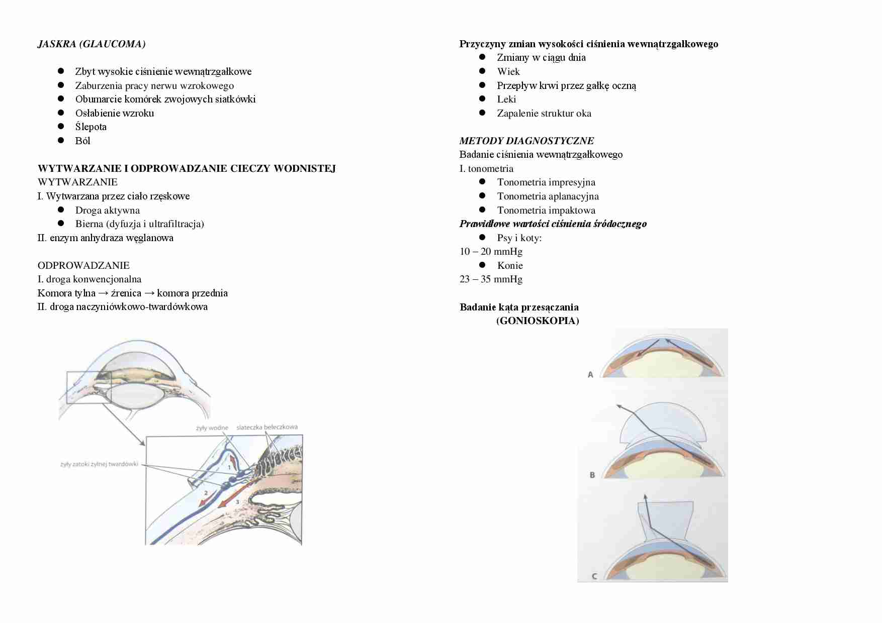 Jaskra (glaucoma) - strona 1