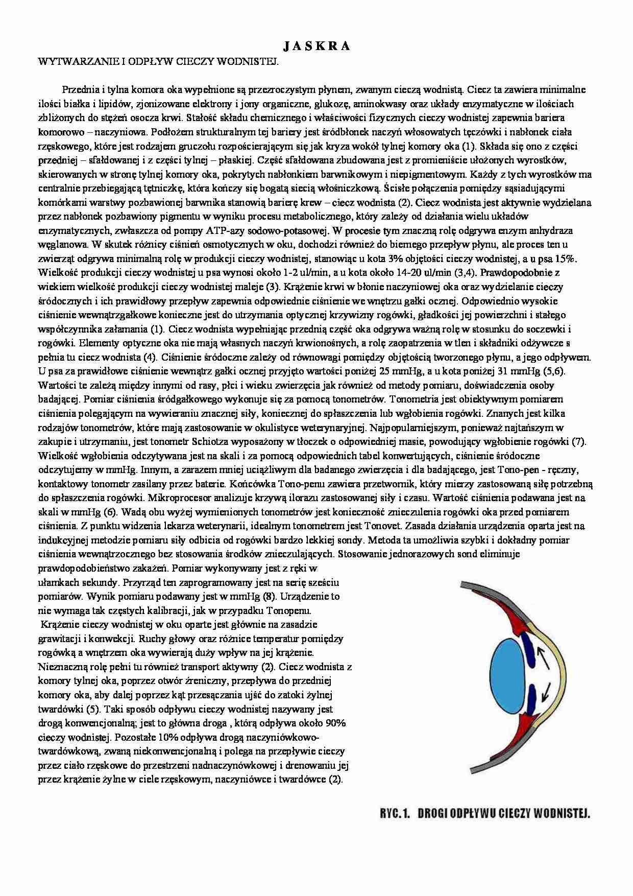 Jaskra-prezentacja - strona 1