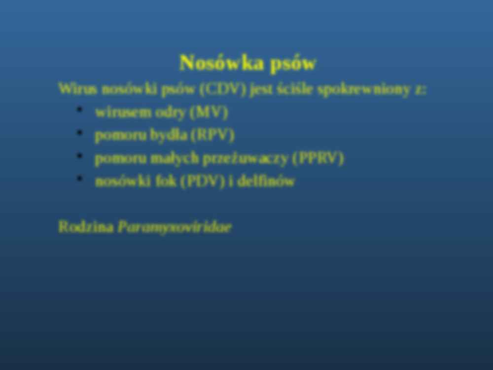 Immunoprofilaktyka chorób zakaźnych psów i kotów - strona 2