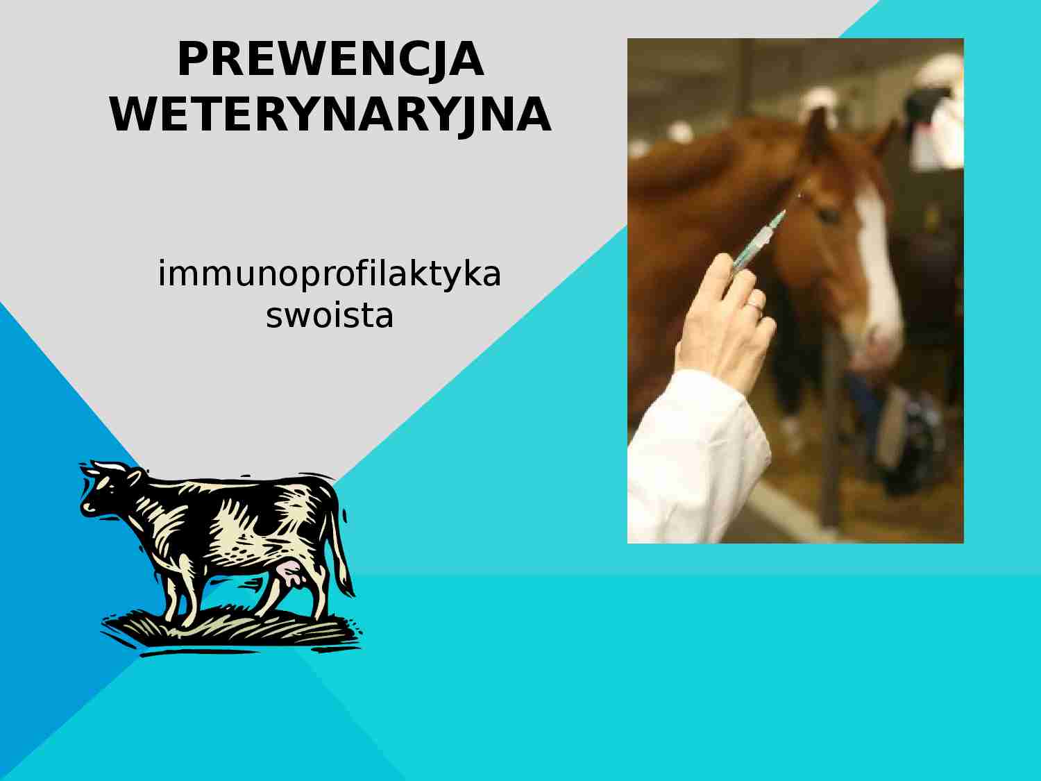 Immunoprofilaktyka swoista - strona 1