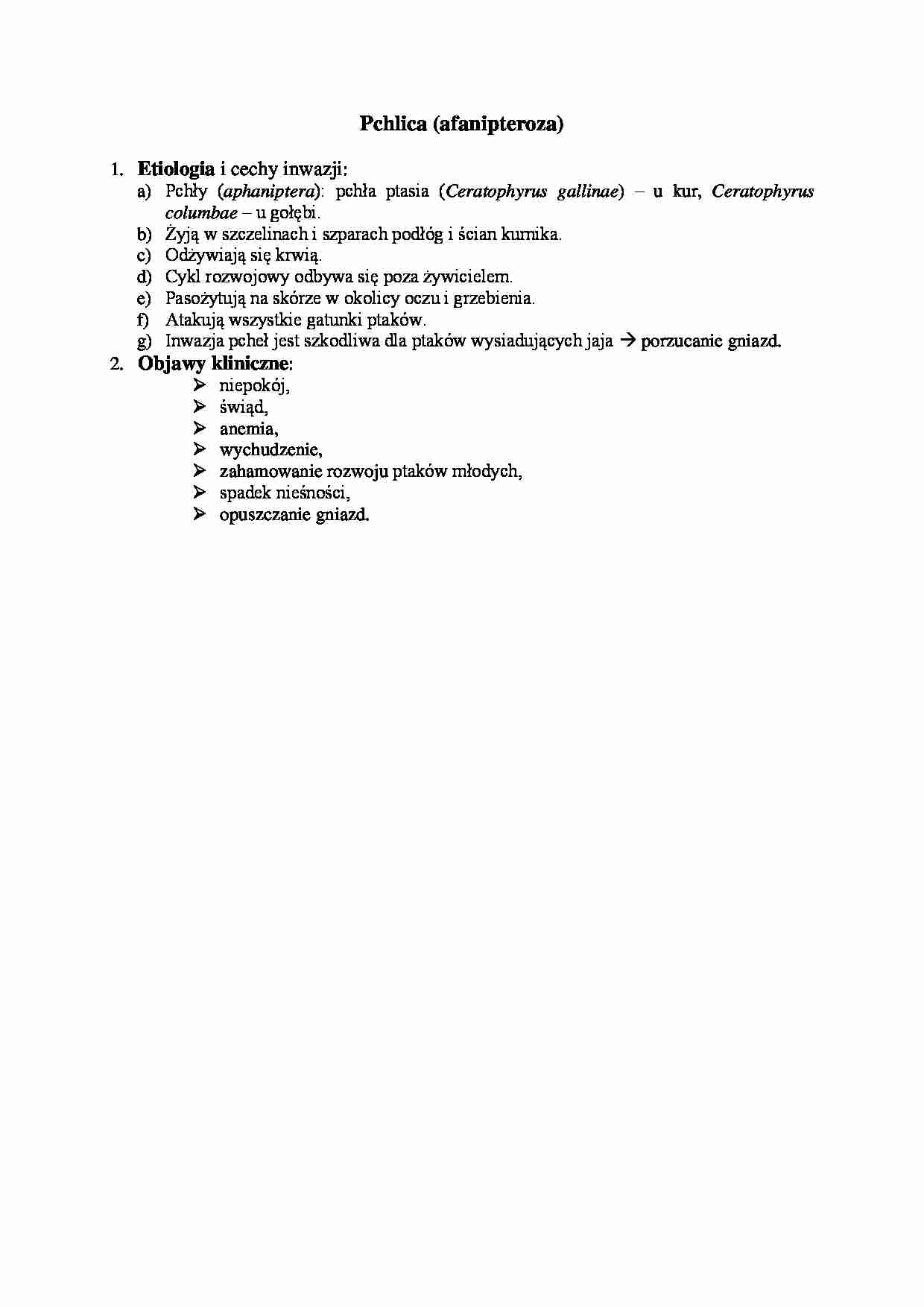 Choroby spowodowane inwazją owadów - Pchlica - strona 1