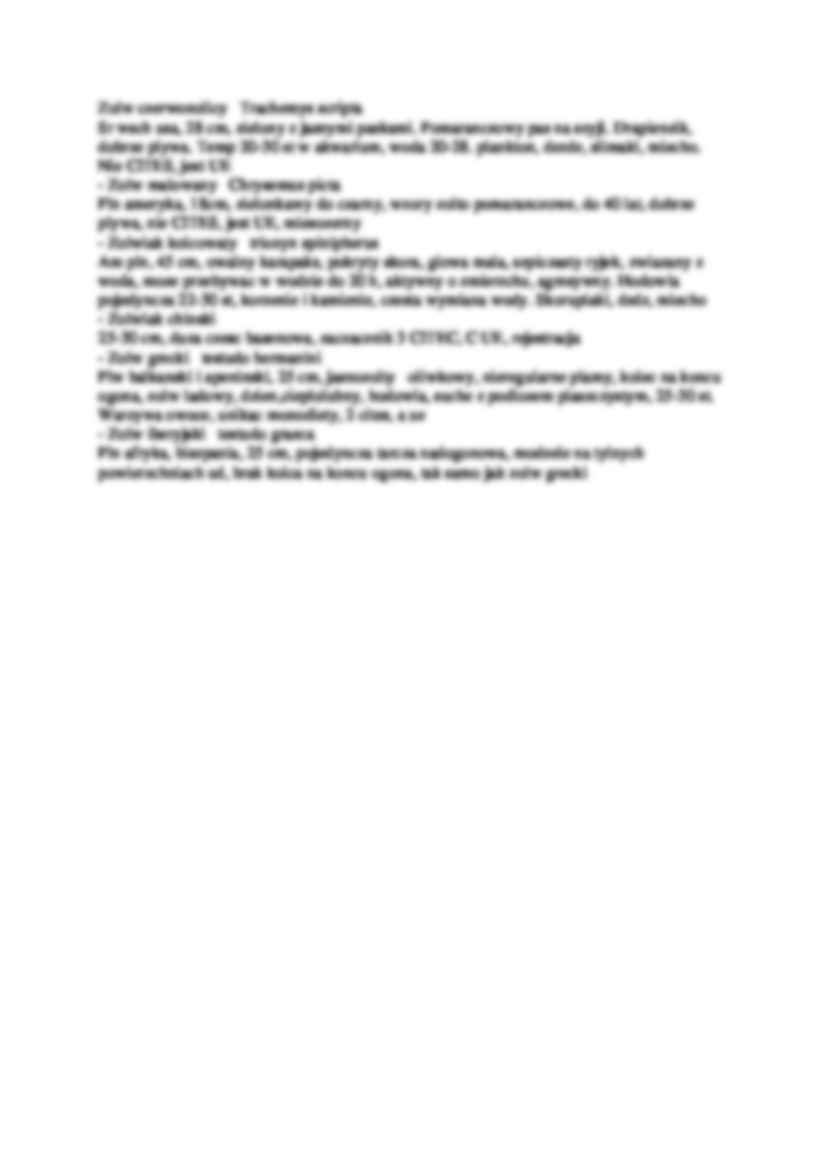 Padalec zwyaczajny Anguilus fragilus - strona 2