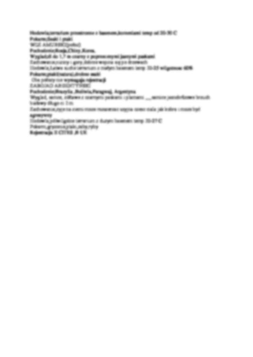 Strzelec wschodni - strona 2