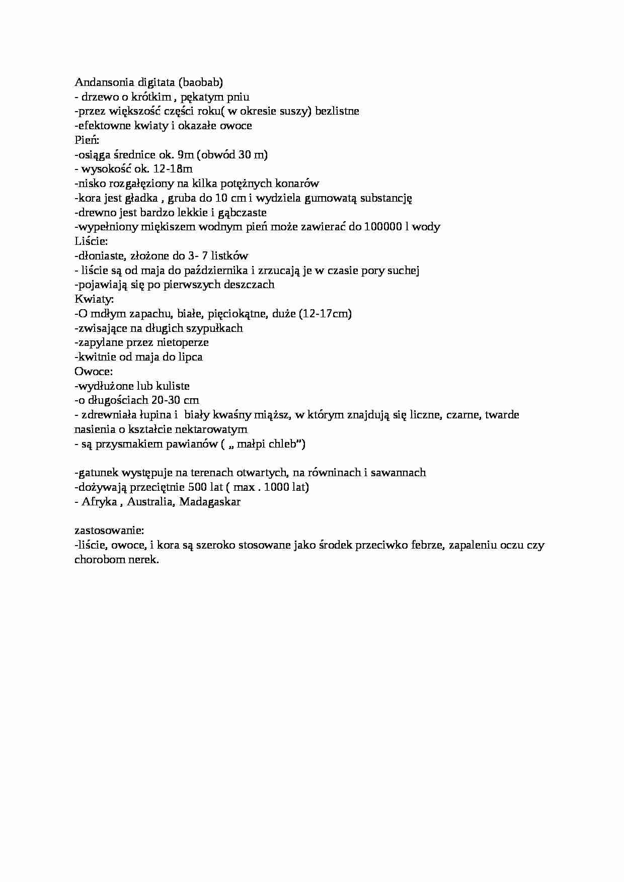 Baobab - charakterystyka drzewa - strona 1