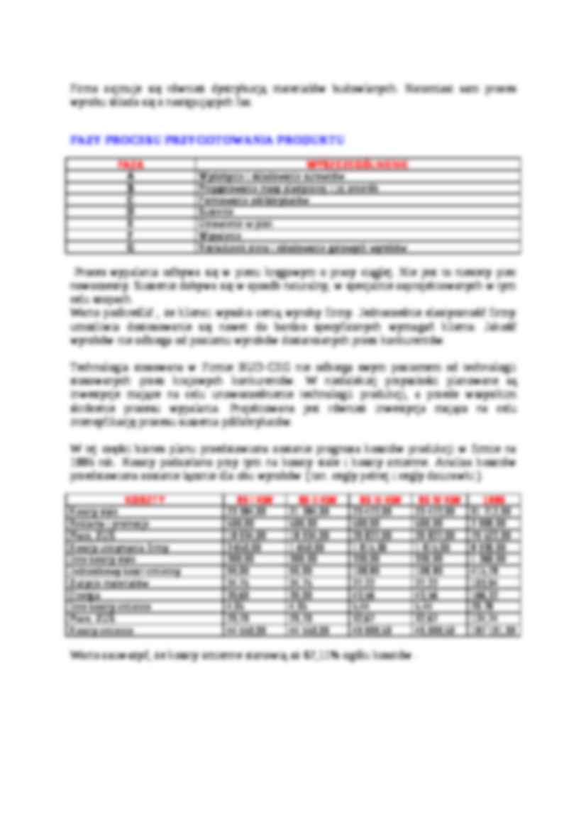 Biznesplan - jak zrobić biznesplan - strona 3