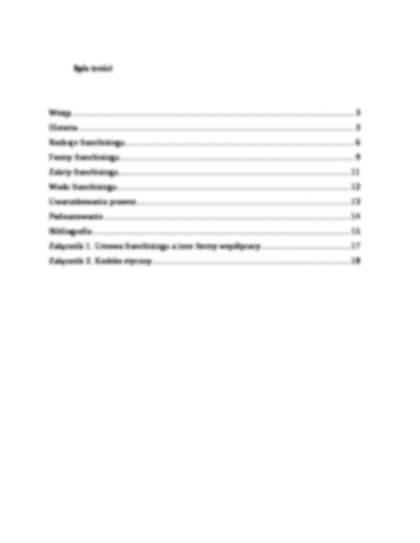 Franchising - historia i pojęcie - strona 2