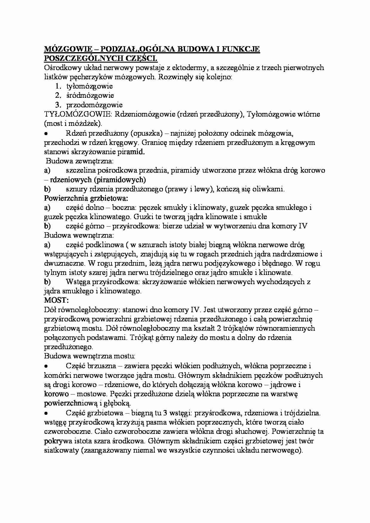 Mózgowie - podział, ogólna budowa - strona 1
