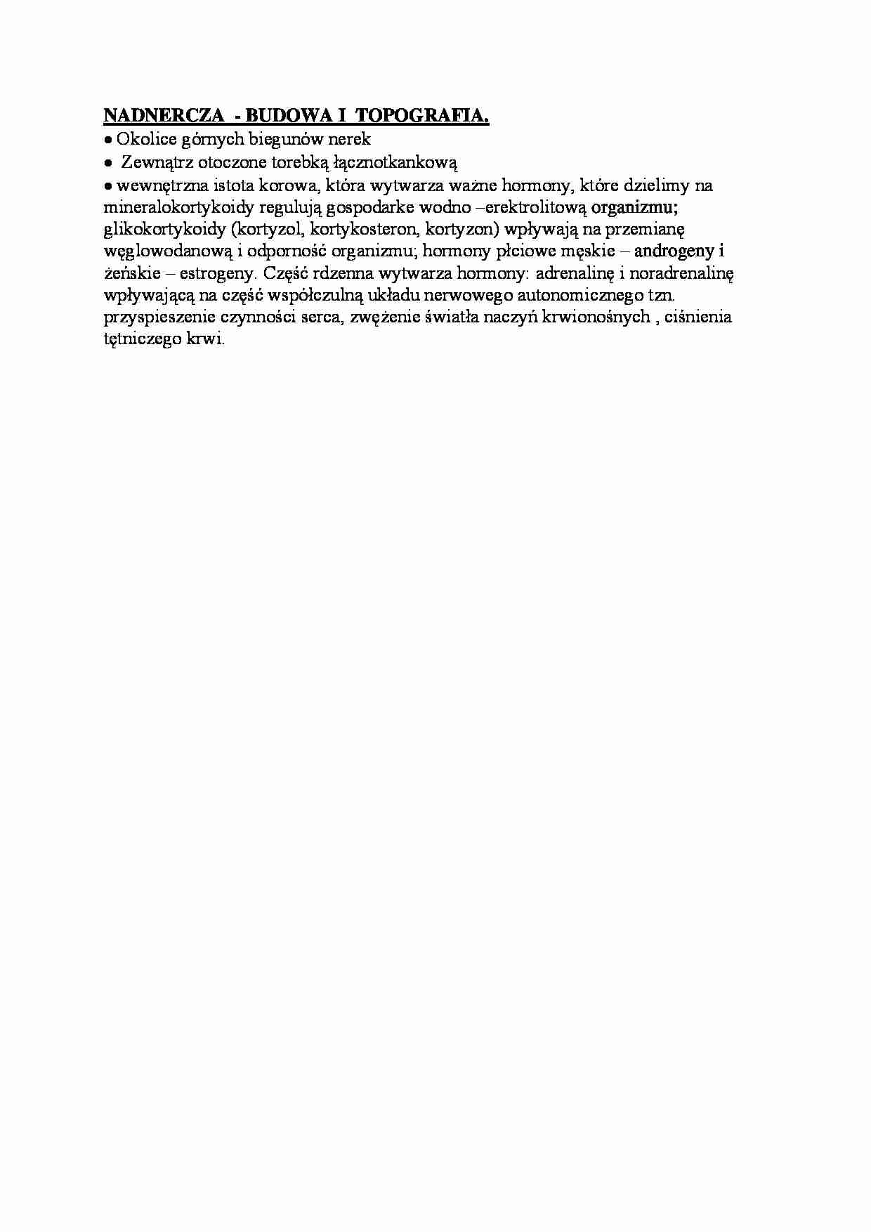 Nadnercza - budowa i topografia - strona 1