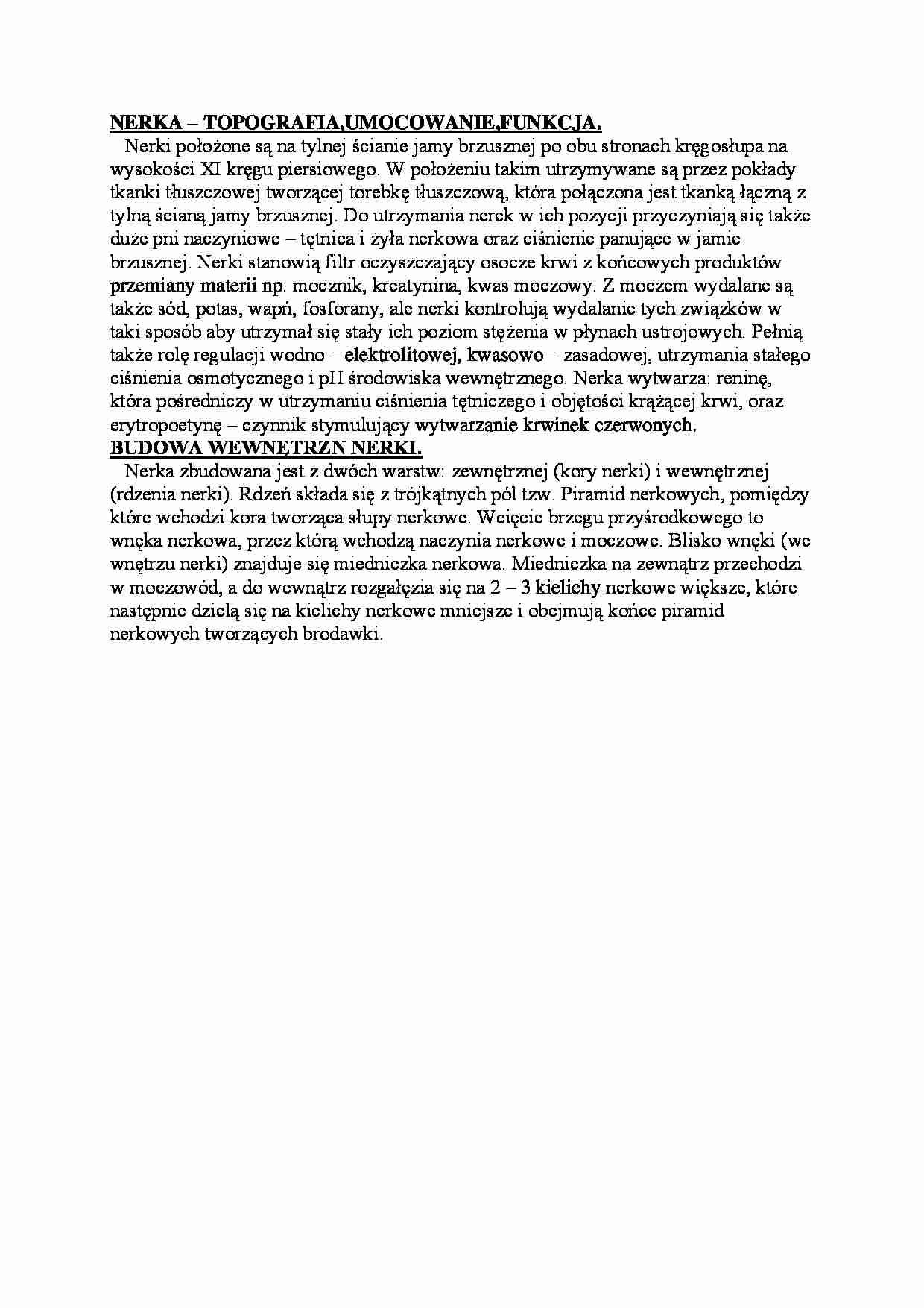Nerka - funkcja i budowa - strona 1