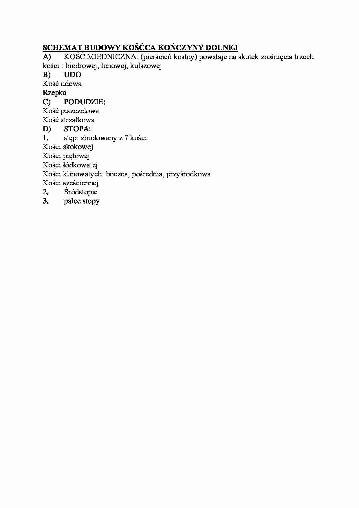 SCHEMAT BUDOWY KO__CA KO_CZYNY DOLNEJ - strona 1