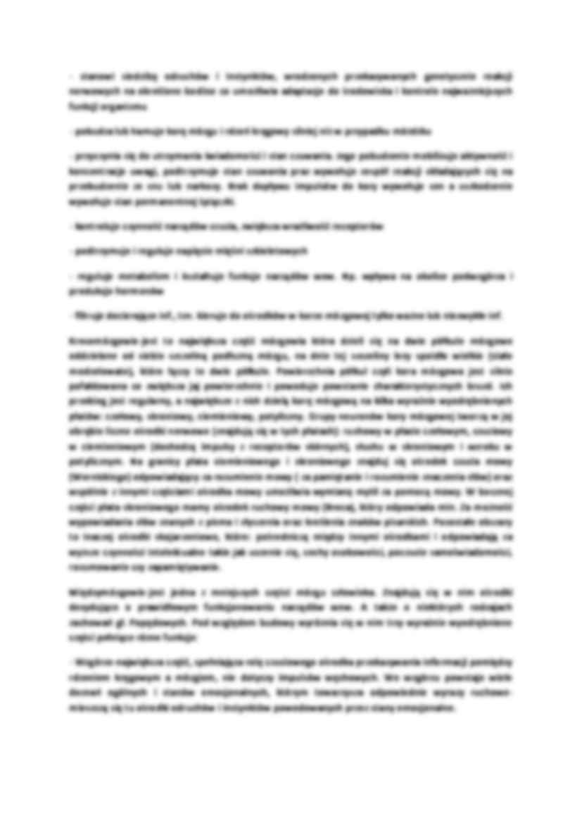 Ośrodkowy układ nerwowy - Mózgowie - strona 2