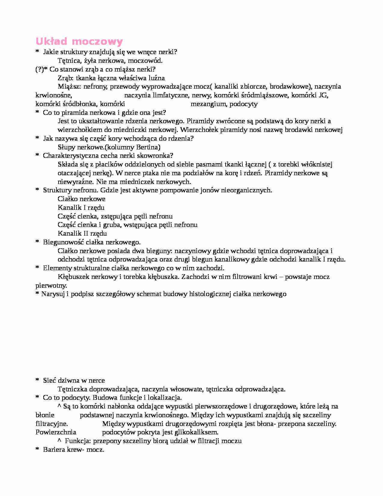 Układ moczowy - opis - strona 1