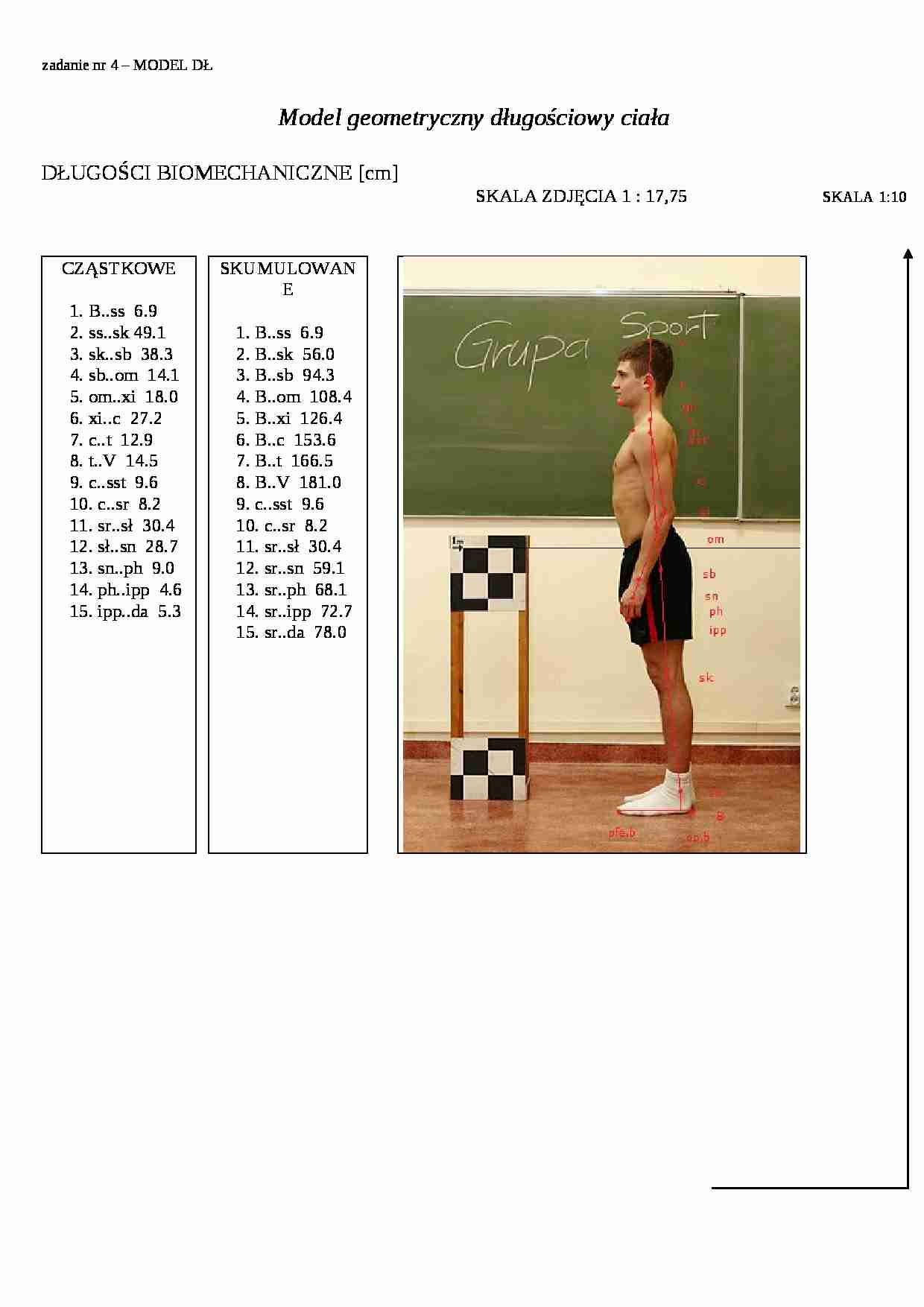 Model geometryczny długościowy ciała - strona 1