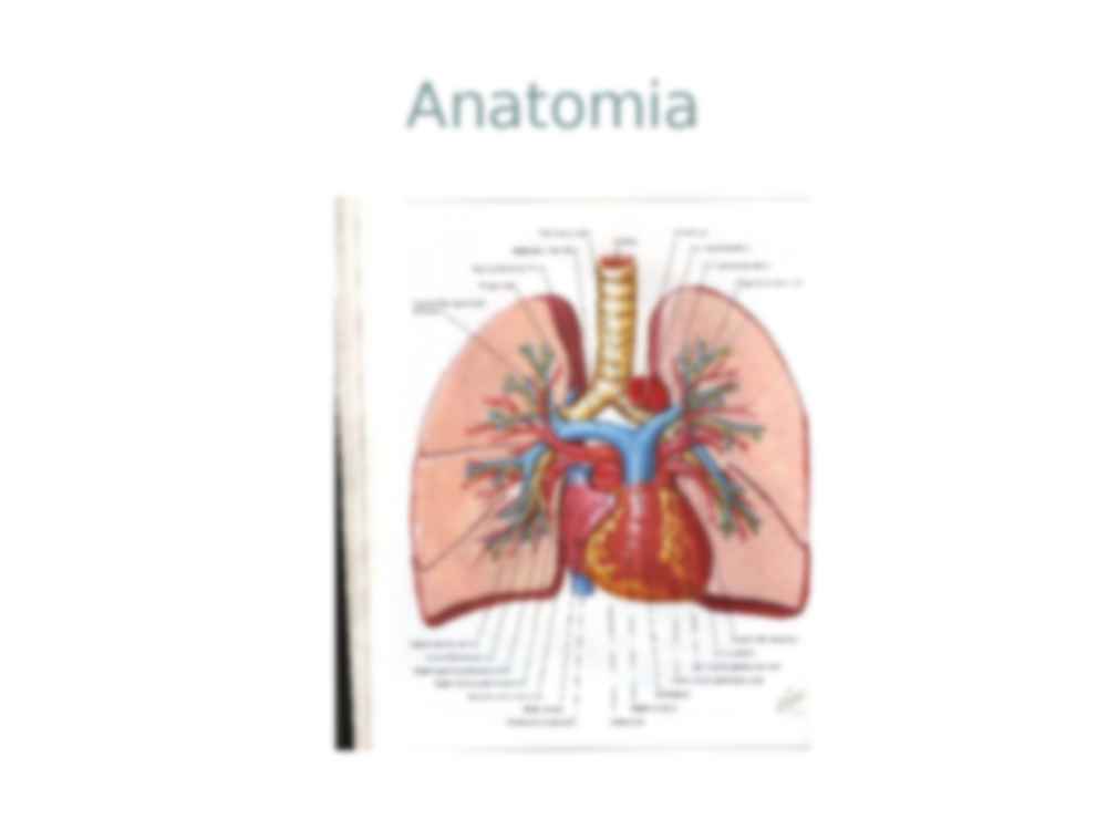 Układ krwionośny - prezentacja - strona 2