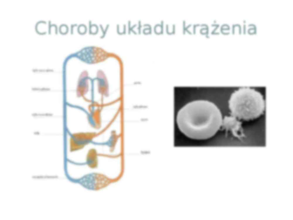 Układ krwionośny - prezentacja - strona 3
