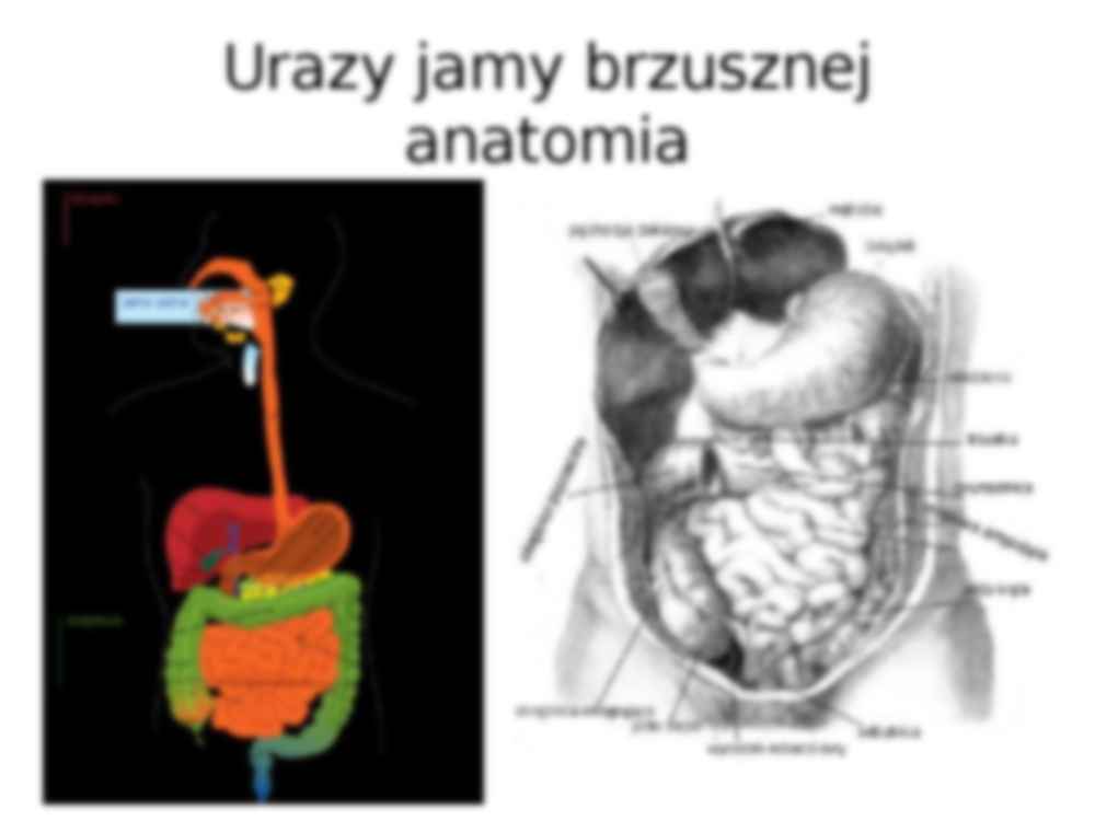 Urazy jamy brzusznej - strona 2