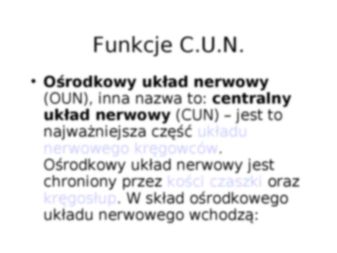 Rola Centralnego Układu Nerwowego i Istota Pracy Umysłowej - strona 2