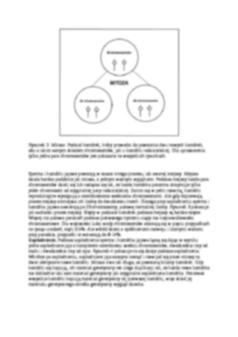 Dziecko z Zespołem Downa - strona 3