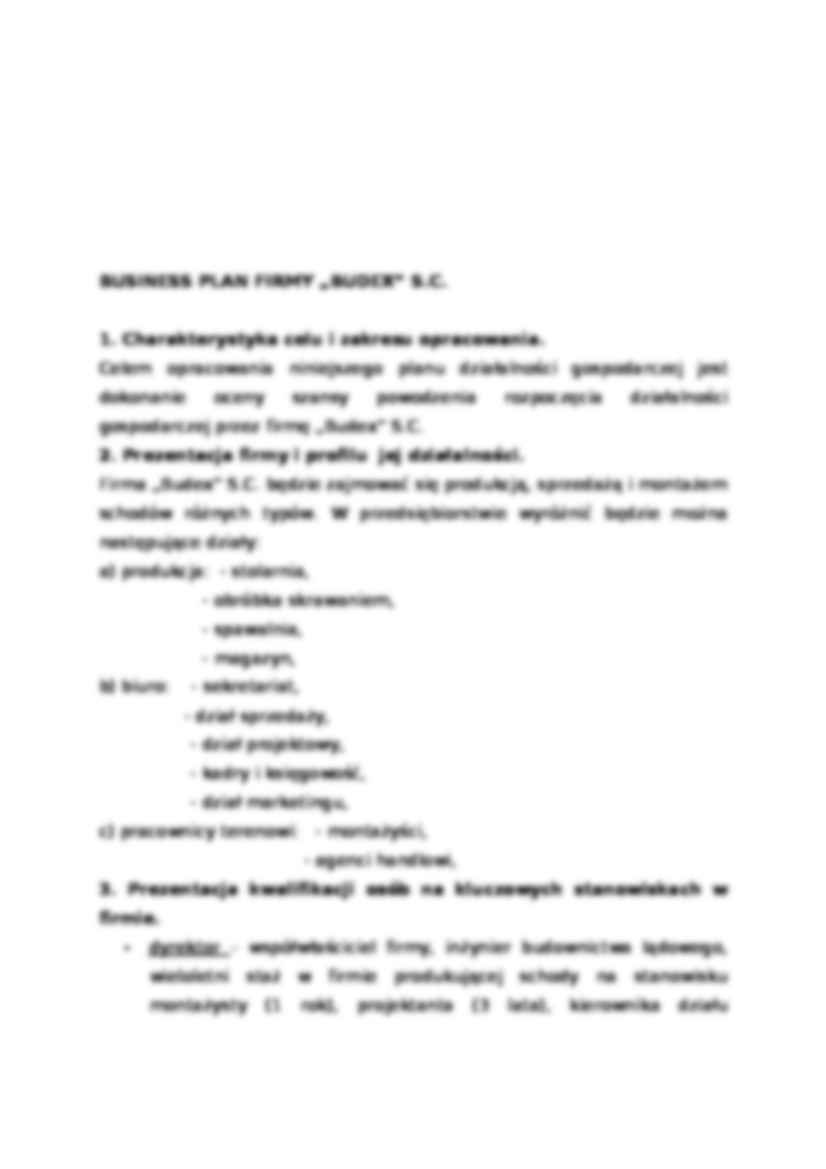 Biznes plan - Budex - prezentacja firmy - strona 2