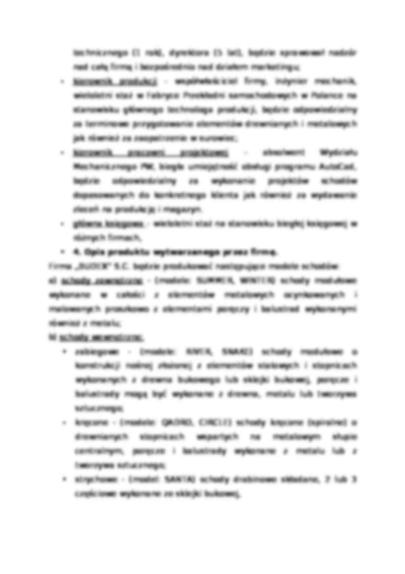 Biznes plan - Budex - prezentacja firmy - strona 3