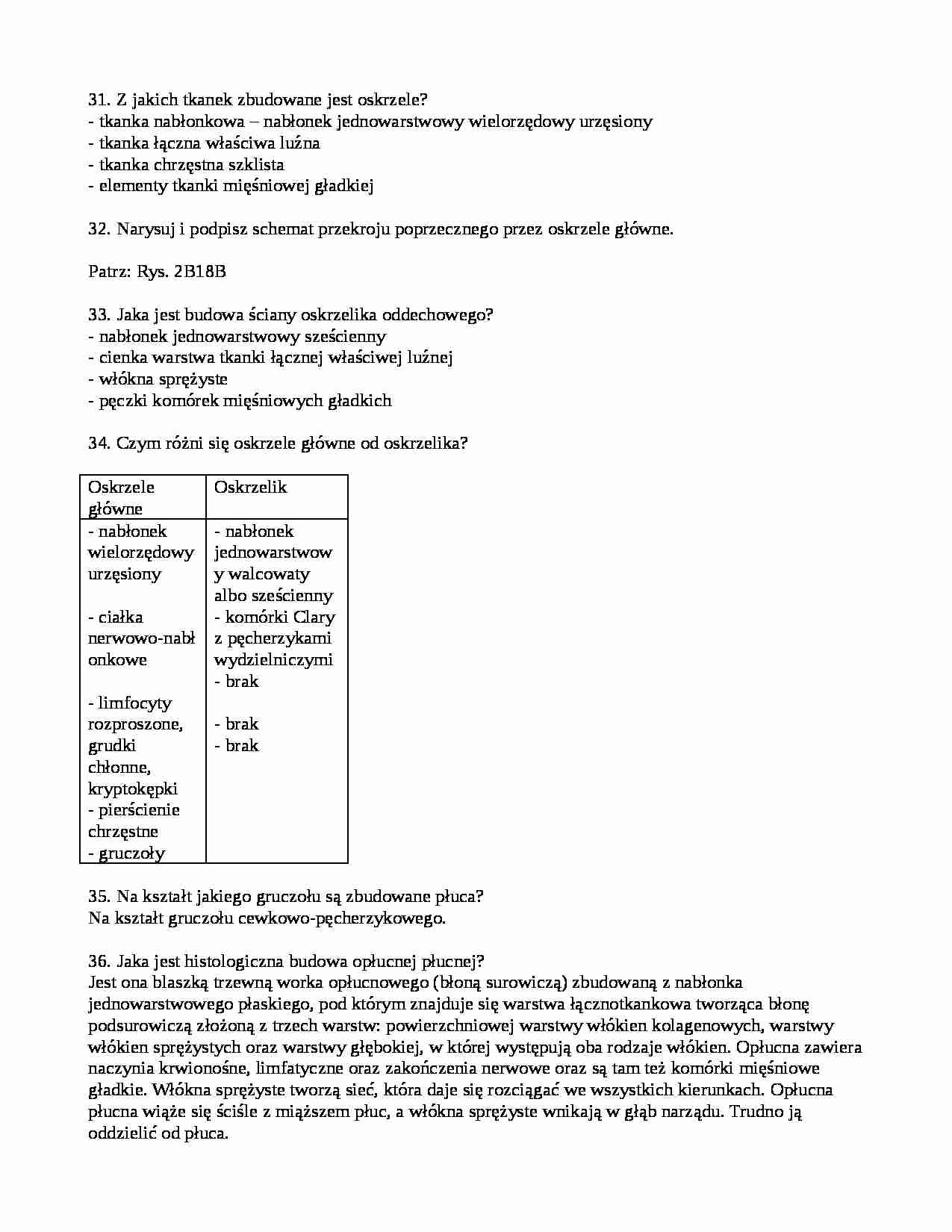 Budowa układu oddechowego  - strona 1