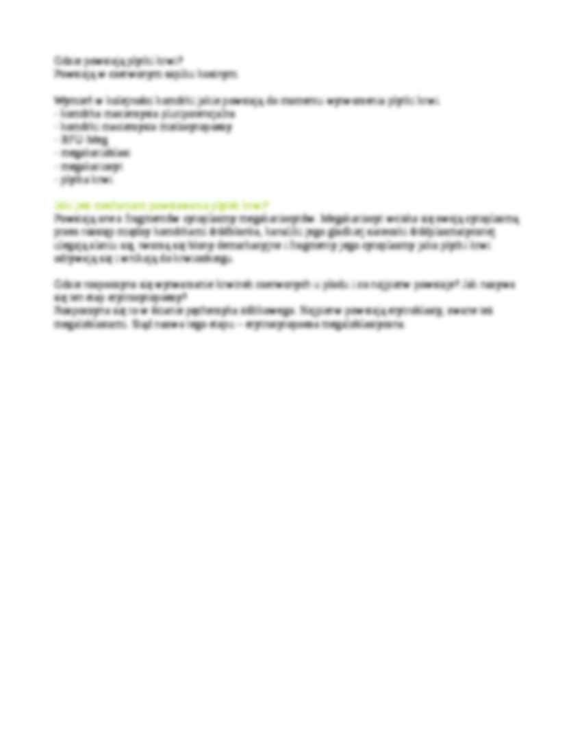 Mielocytopoeza - strona 2