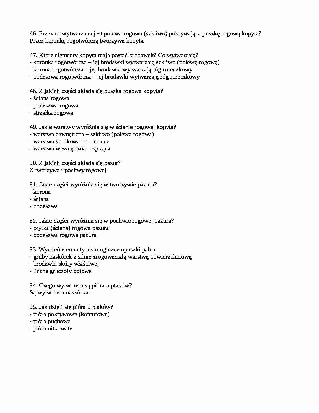 Polewa rogowa - strona 1