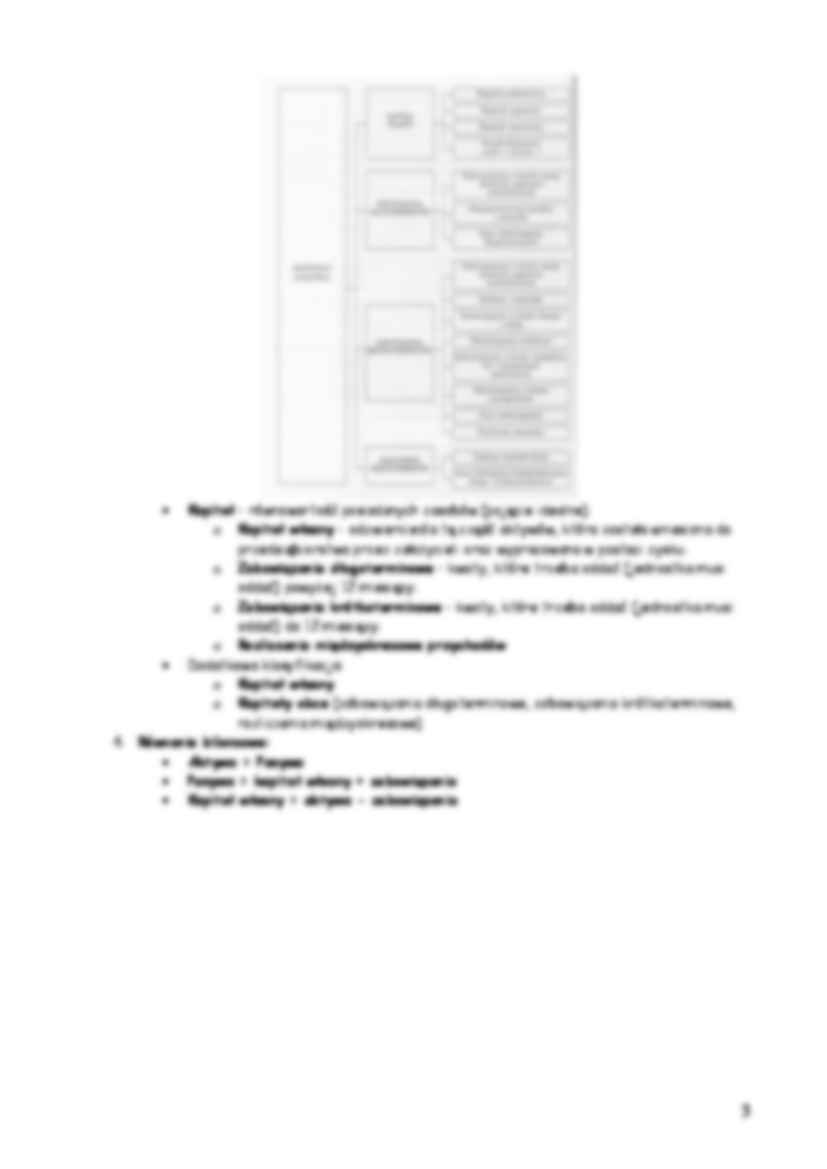 Majątek przedsiębiorstwa i jego struktura - strona 3