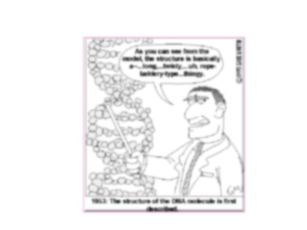 Organizacja genomów II - strona 3