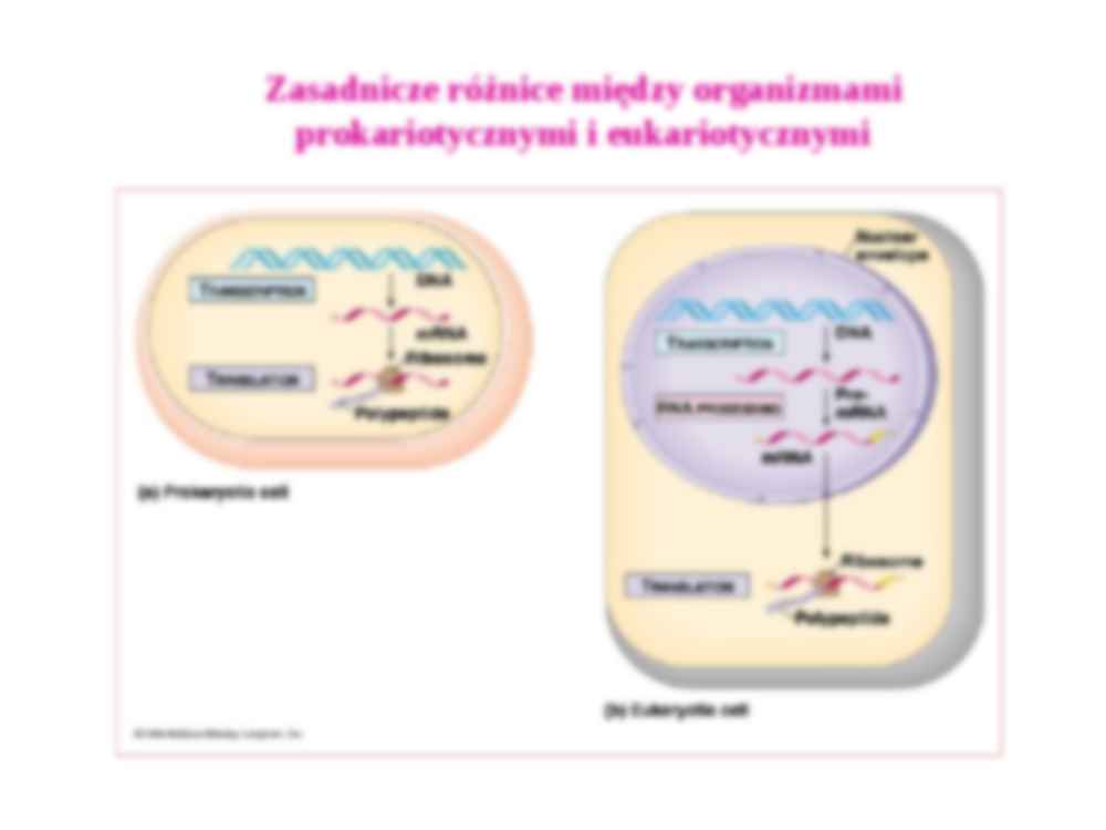 Regulacja ekspresji genów - strona 2