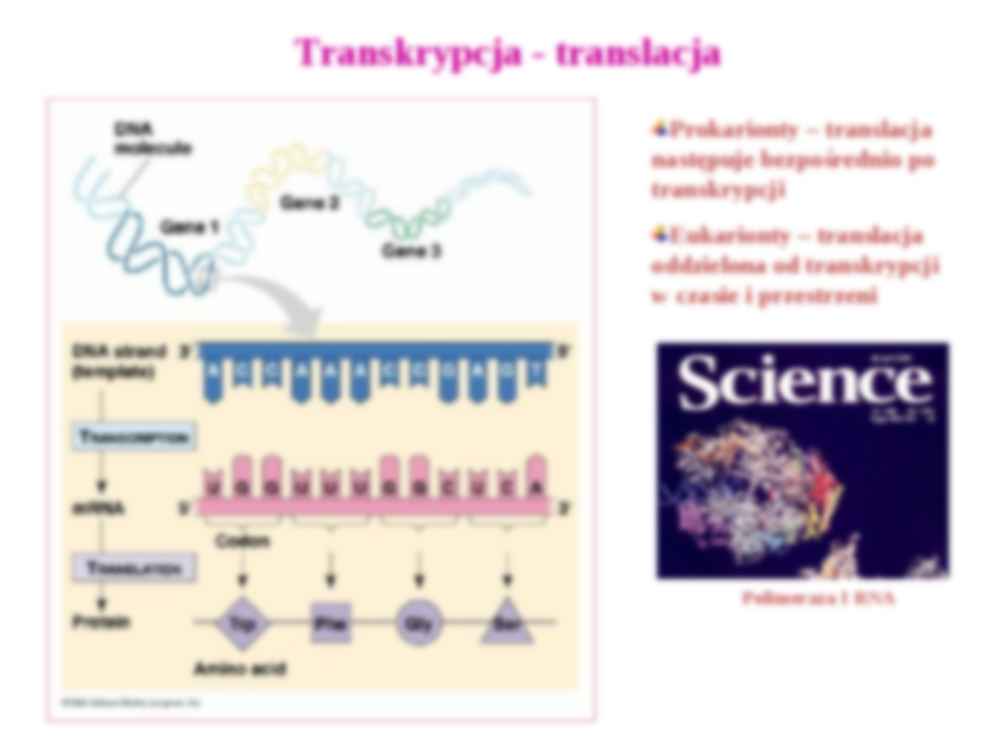 Regulacja ekspresji genów - strona 3