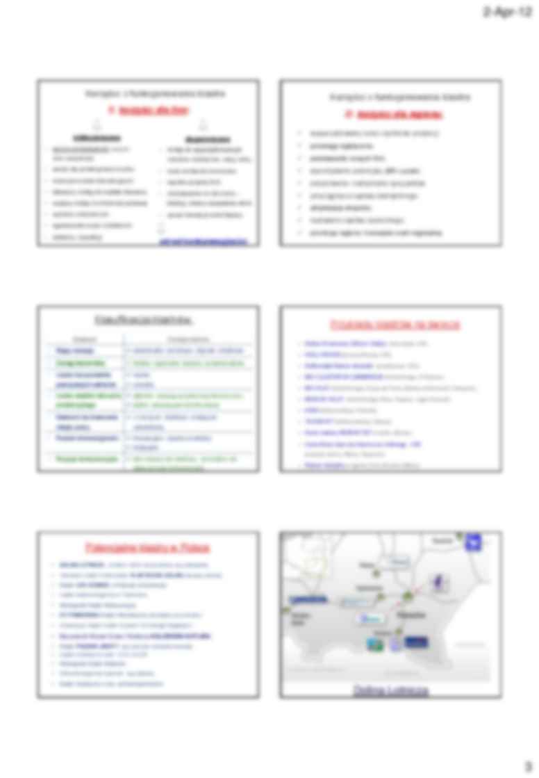 Klaster jako czynnik konkurencyjności regionów - wykład z gospodarki regionalnej - strona 3