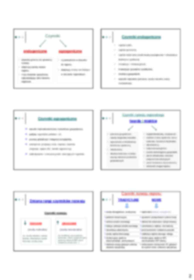 Rozwój regionalny - uzupełnienie wykładu z gospodarki regionalnej - strona 2