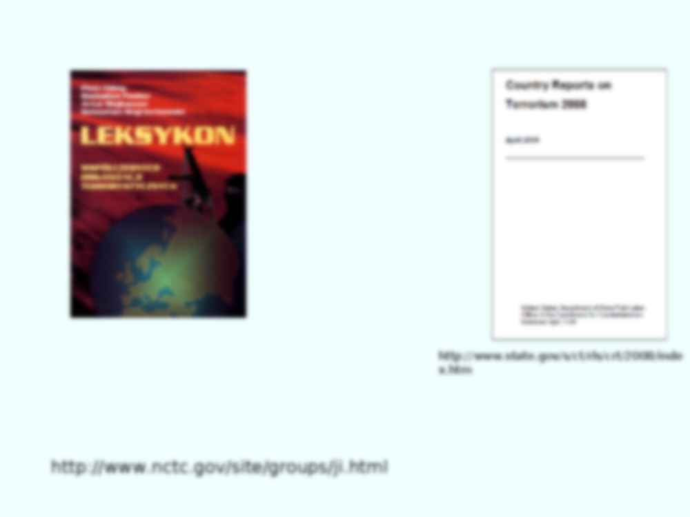 Organizacje terrorystyczne - prezentacja - strona 2