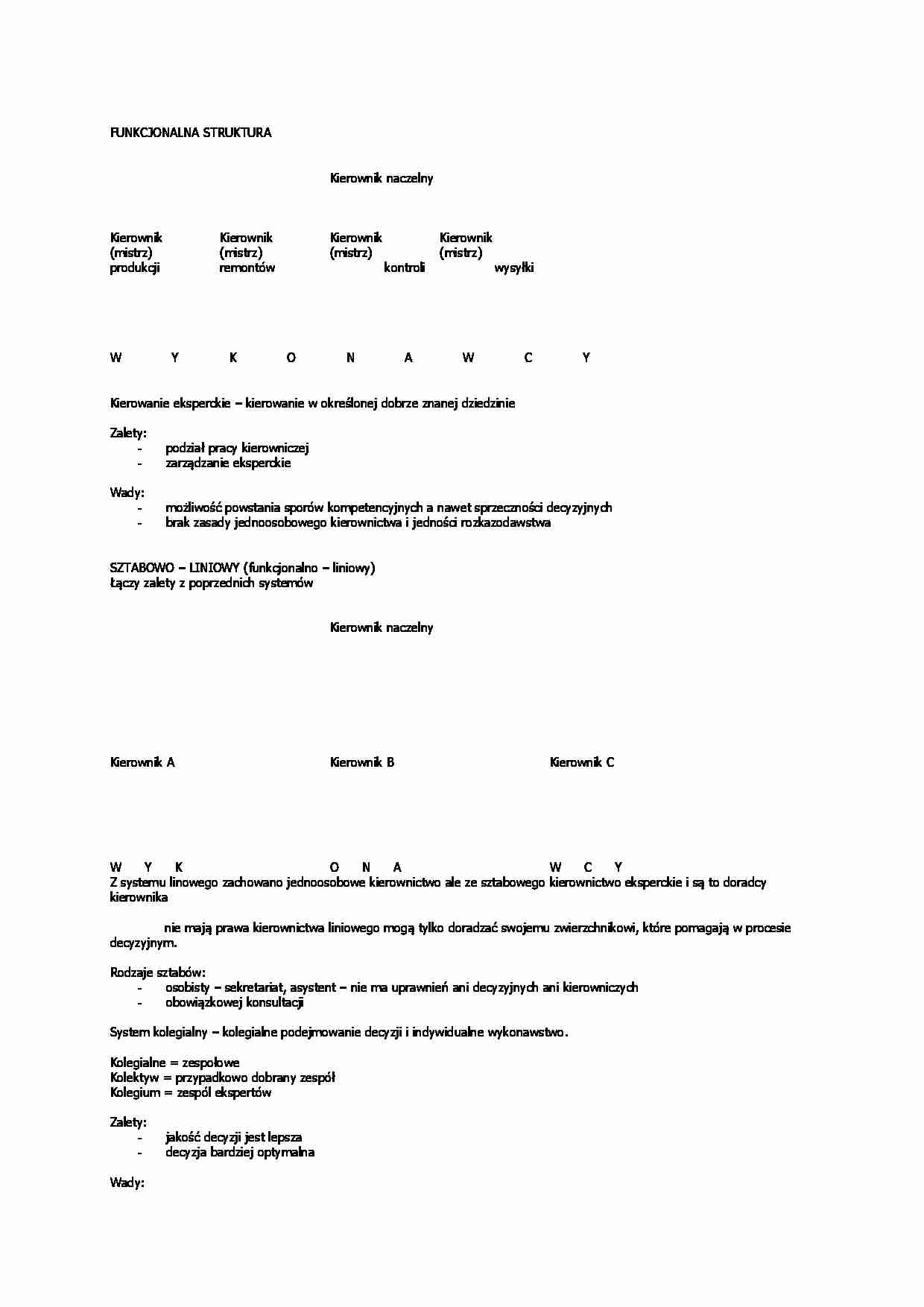 Funkcjonalna struktura firmy - strona 1