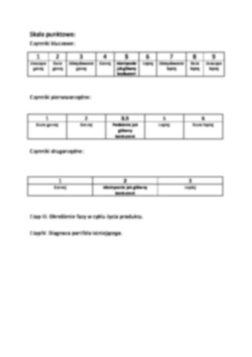 Ustalenie pozycji produktów w Macierzy Profilu Działalności - strona 2