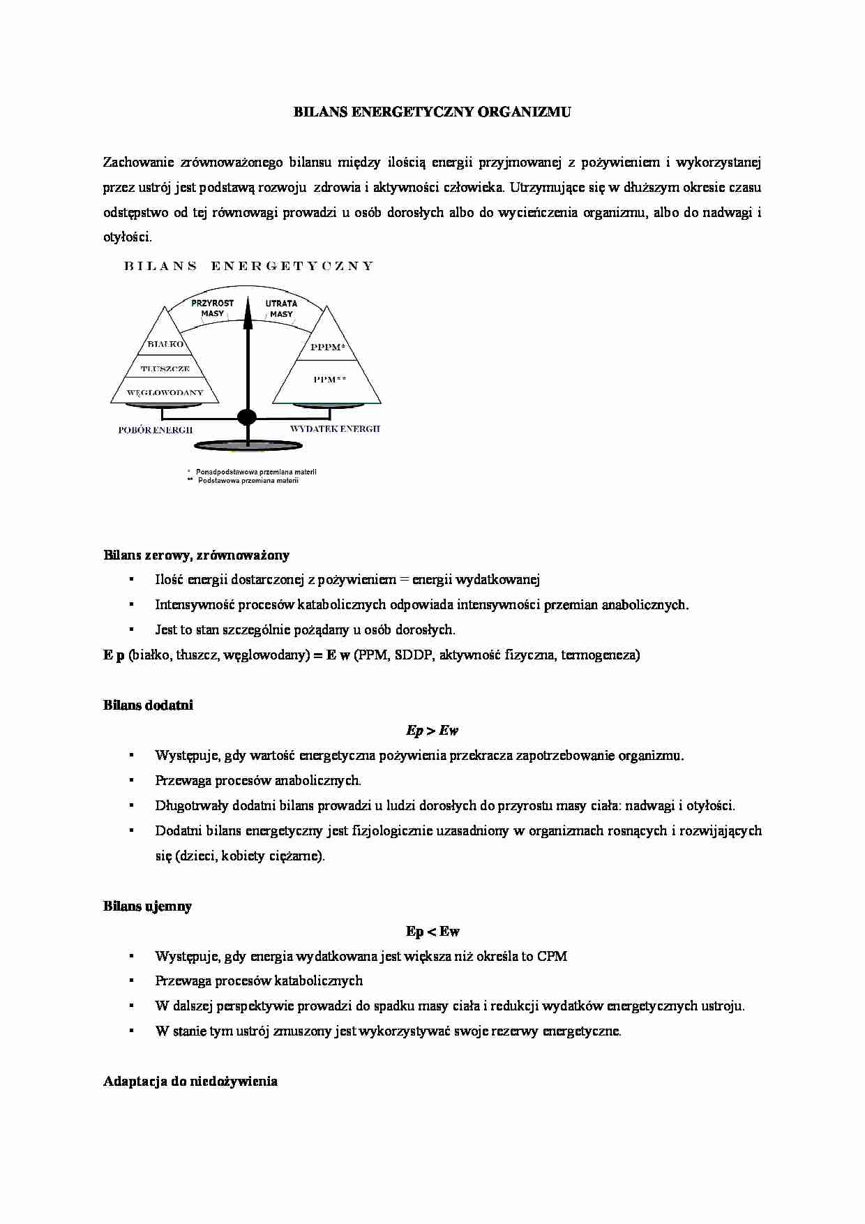 Bilans energetyczny organizmu - strona 1