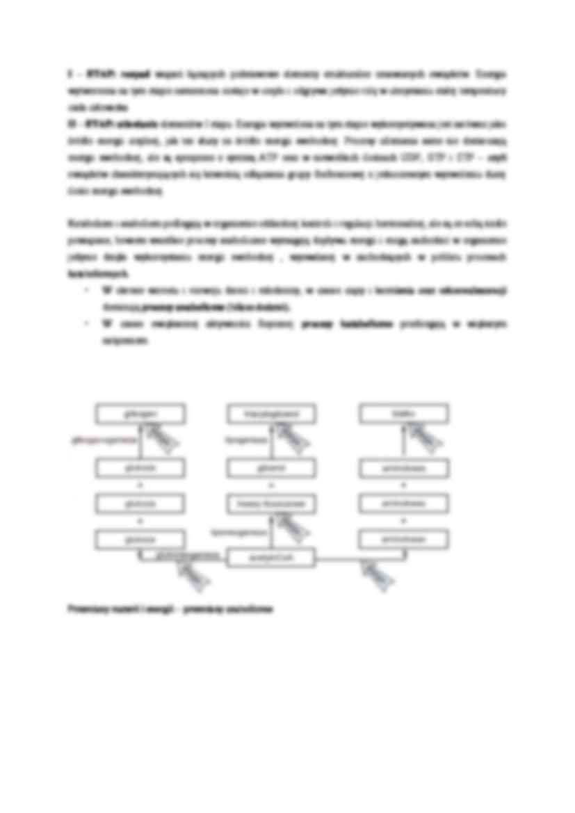 Przemiany materii i energii - strona 2