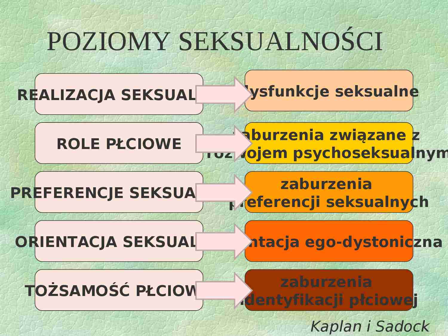 Poziom seksualności-prezentacja - strona 1