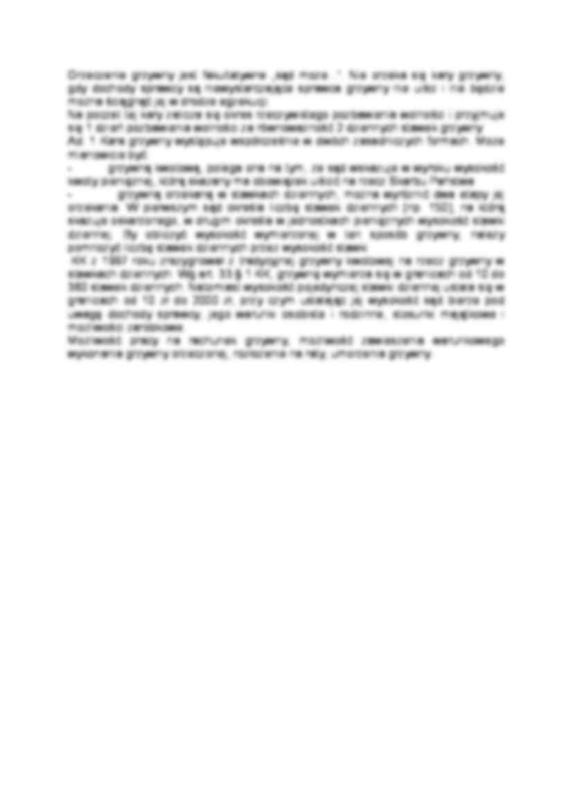 Grzywna art. 33 - strona 3