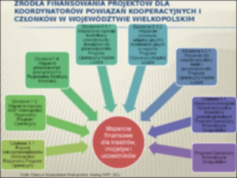 Klastry w województwie wielkopolskim - strona 3