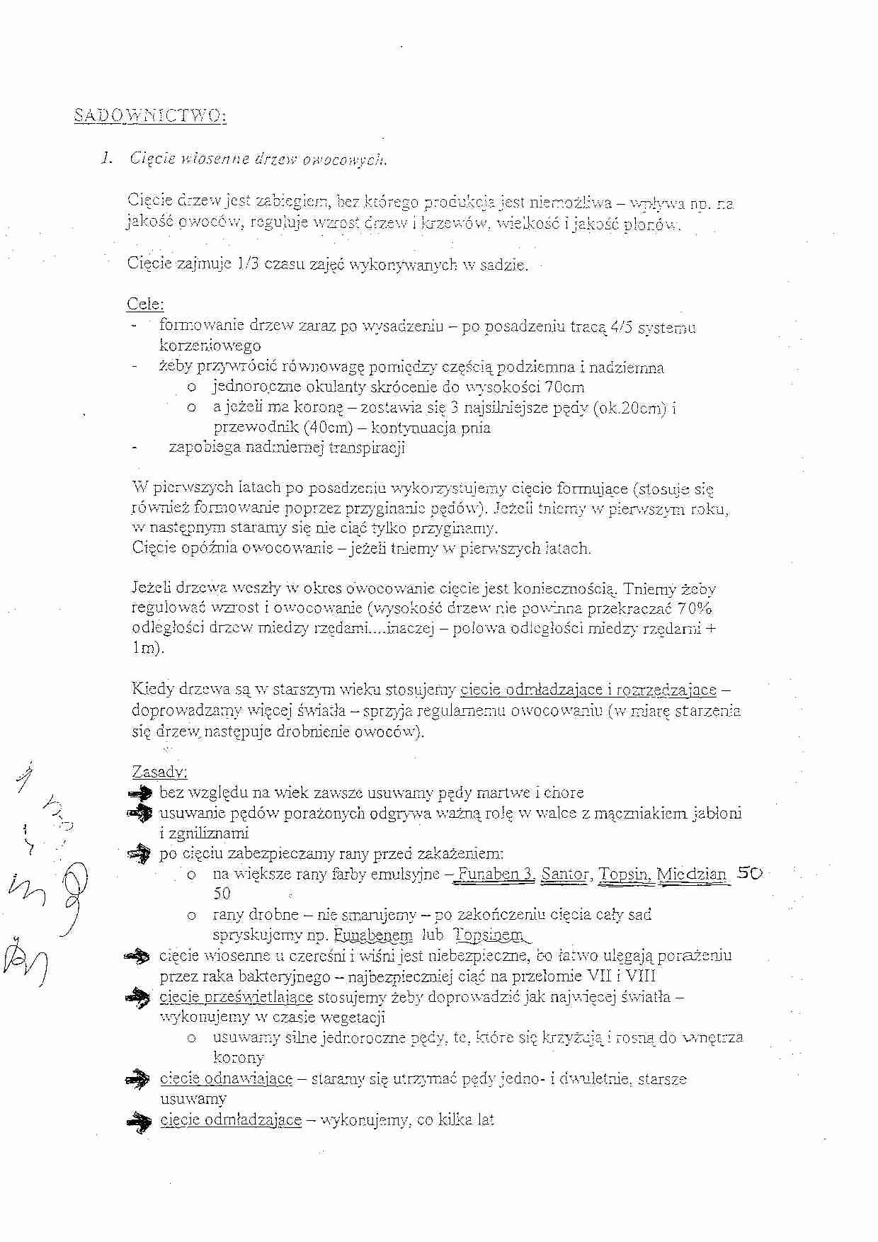 Cięcie drzew owocowych - strona 1