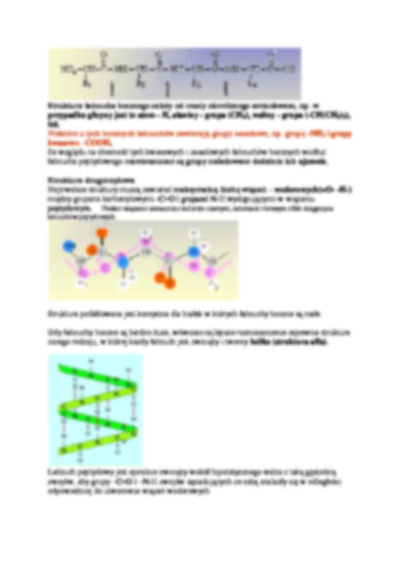 Białka - Proteiny - strona 3