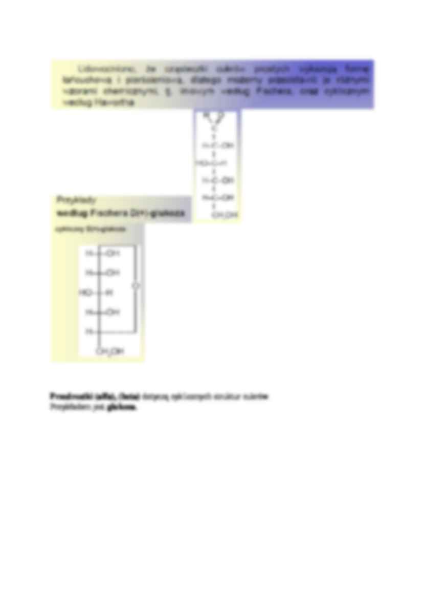 Węglowodany-opracowanie - strona 3