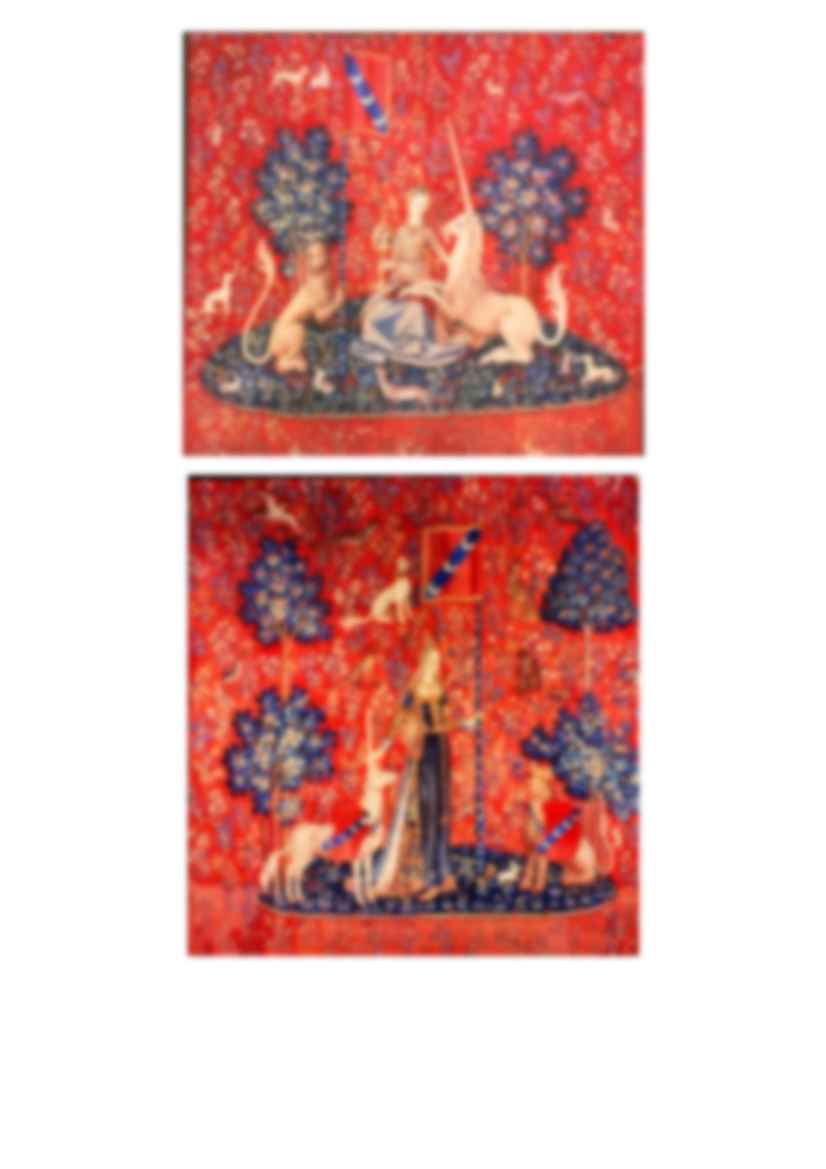 Gotyk-Francja XIV-XV Dama z jednorożcem - strona 2