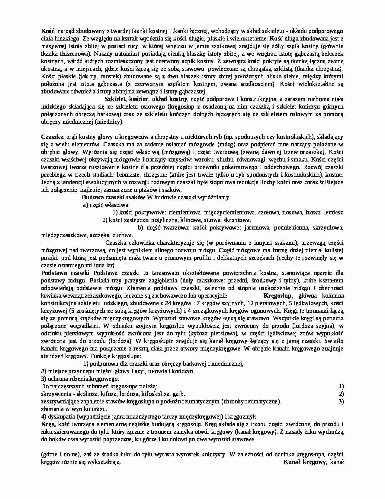 anatomia- uklad kostny- anatomia - strona 1