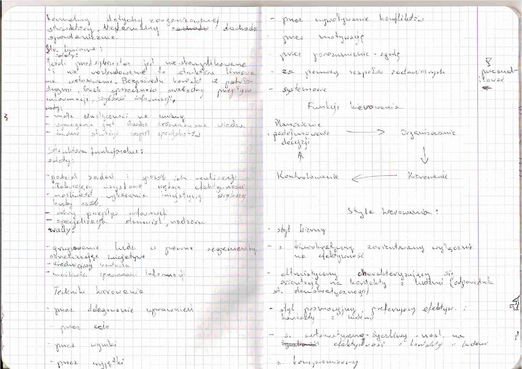 Czynności przy zarządzaniu - wykład. - strona 1