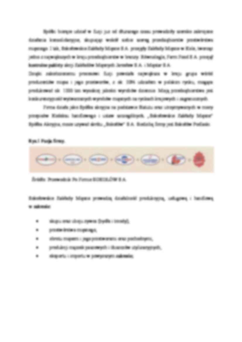 Charakterystyka firmy miesnej - strona 2