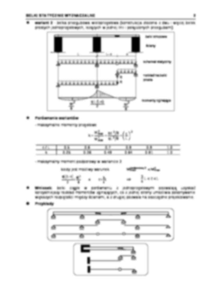 Belki proste - opracowanie  - strona 2